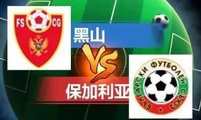 四虎精品在线观看