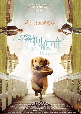 欧美午夜性春猛交xxxx张曼玉