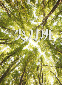 综合在线视频