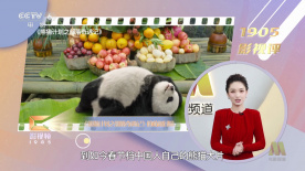 大伊香蕉